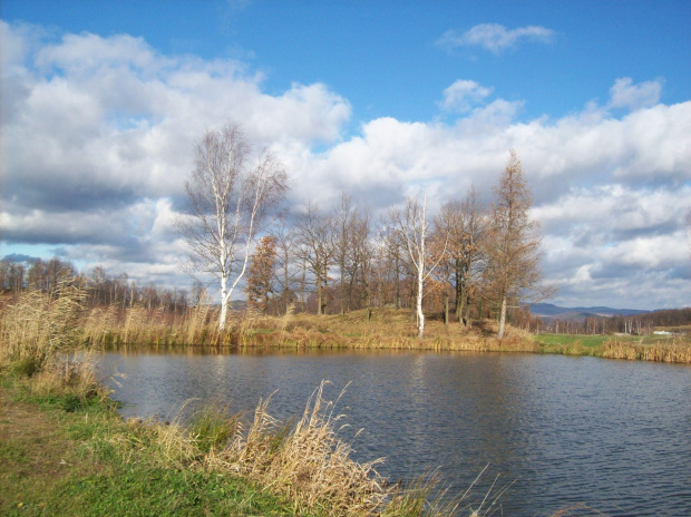 Malowniczy krajobraz w okolicy Bukowca,zdjęcie przyjaciółki :) #Bukowiec #JeleniaGóra
