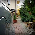 Opel Astra F by siwek755