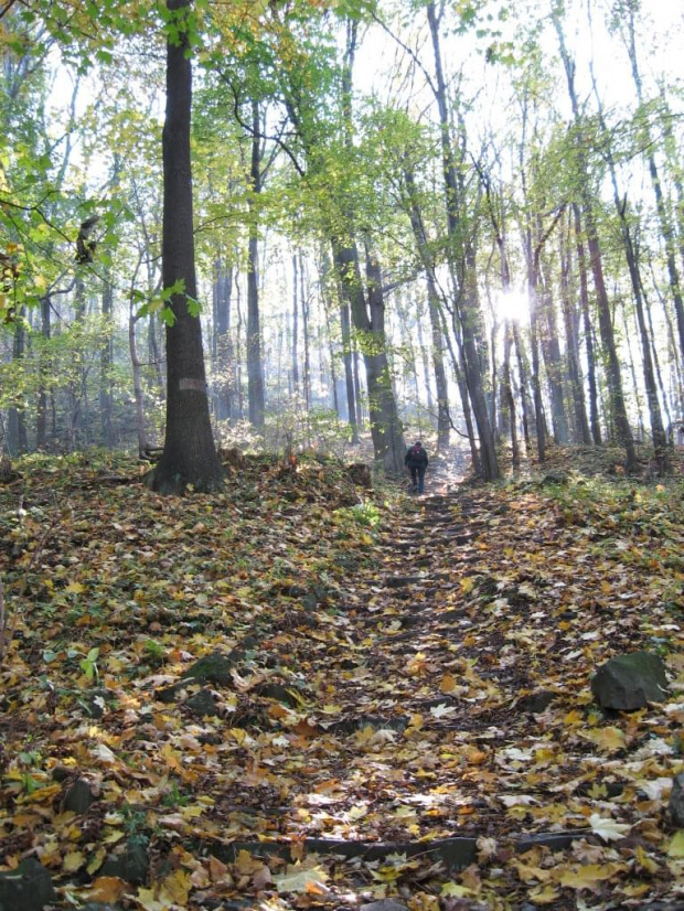 Jesień na Ostrzycy