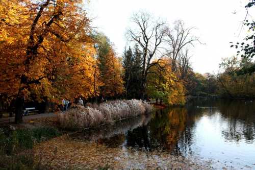 Jesienny spacer w Łazienkach...