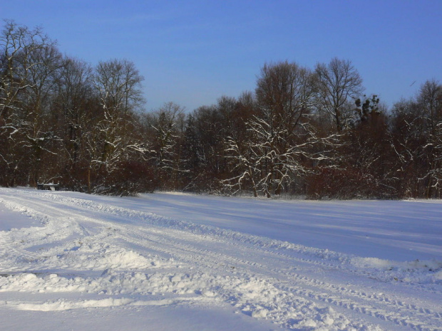 Rudy,zima,park #Rudy #zima #park