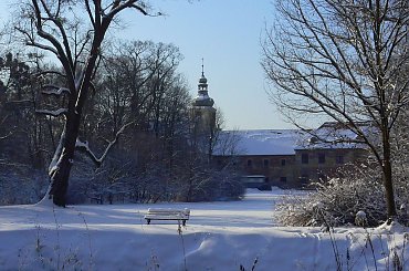 Rudy,zima,park #Rudy #zima #park