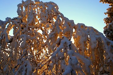 w Górach Stołowych, a konkretnie na Szczelińcu #Sudety #Stołowe #Szczeliniec