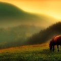 poranek w Czarnohorze #góry #WschodySłońca #konie #KrajobrazyIPrzyroda #miejsca