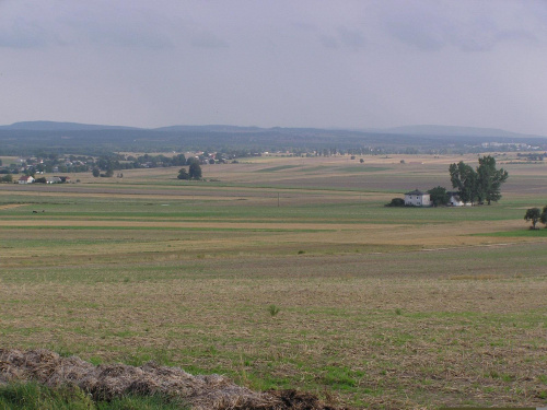 pasmo przedborsko-małogoskie widziane z Bąkowej Góry (ok 280 mnpm), Pierwsza od lewej to "Fajna Ryba"-najwyższe naturalne wzniesienie woj. łódzkiego