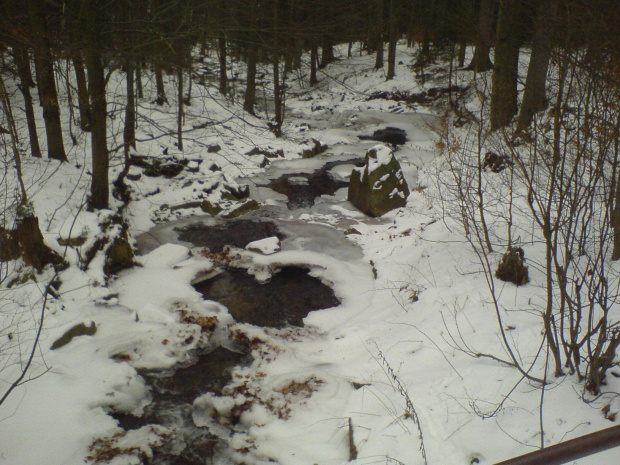 Śnieżnik, droga ze schroniska do Międzygórza #ŚnieżnikKłodzkiSudetyMiędzygórze