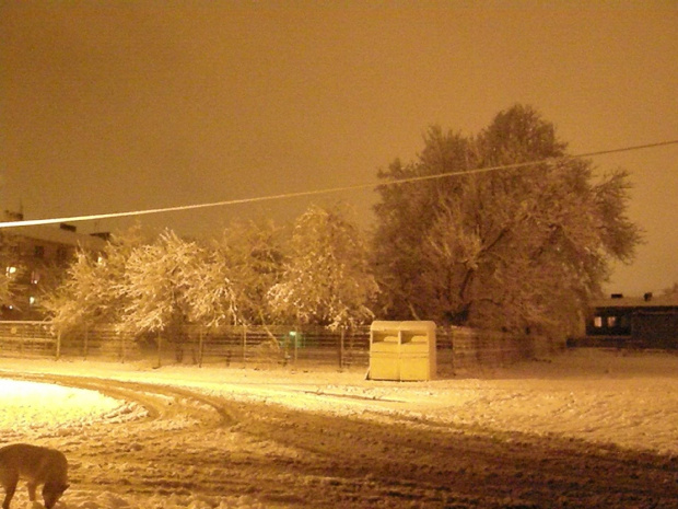 Pierwszy śnieg - grudzień 2009