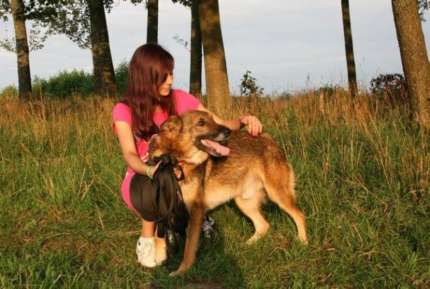 ,,Jedynym całkowicie bezinteresownym przyjacielem, którego można mieć na tym interesownym świecie, takim, który nigdy go nie opuści, nigdy nie okaże się niewdzięcznym lub zdradzieckim, jest pies... "