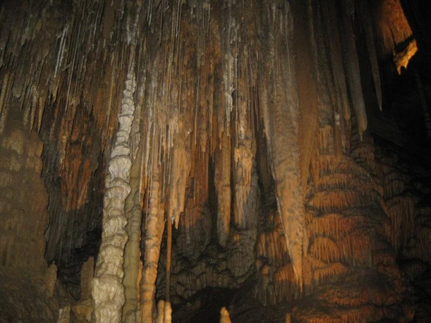 Tasmania jaskinie