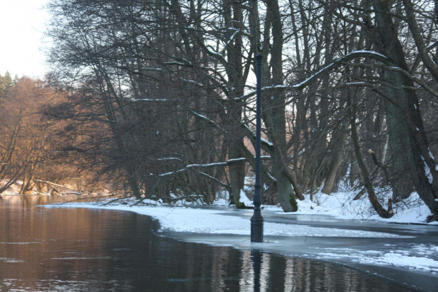 Rzeka Brda - 25.02.2011 - zdjęcie z samotnego spływu kajakowego. #Brda #rozlewisko #lód