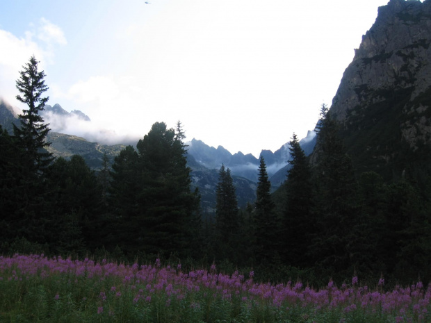 Dolina Złomisk z rana #Góry #Tatry