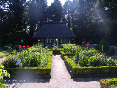 9.VI.2006 Hamburg, Dzielnica: Klein Flottbek, Ogrod Botaniczny (Botanische Garten)