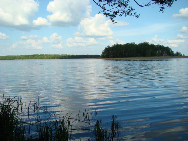 Mamerki - Jezioro Mamry - tuż przy bunkrach.