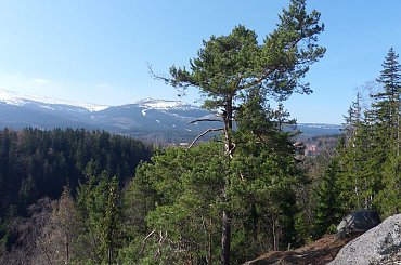 Punkt widokowy nad Szklarską Porębą #karkonosze #SzklarskaPoręba #góry #PunktyWidokowe