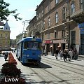 Lwów - Stare Miasto.
Rynek.