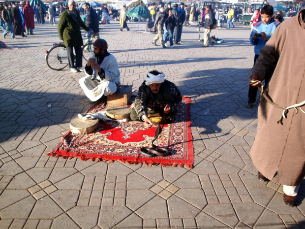 Marakesz - plac Dżemaa el-Fna - kobra..sss :) #Maroko #Marakesz