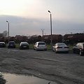 spot