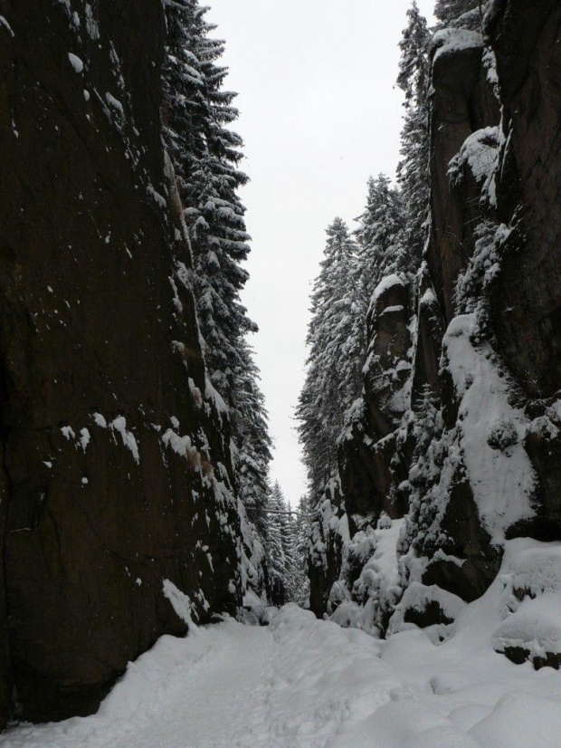 Szklarska Poręba 2009