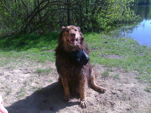 maj 2011 Stefan i labek córki Wioli