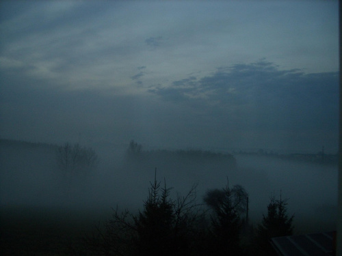 #widok #mgła #las #wiosna