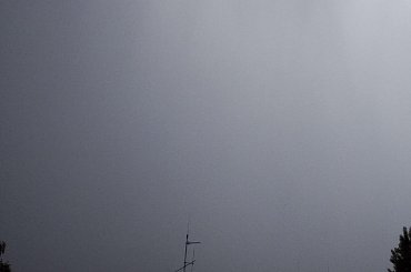 #burza #konwalie #las #piorun #pioruny