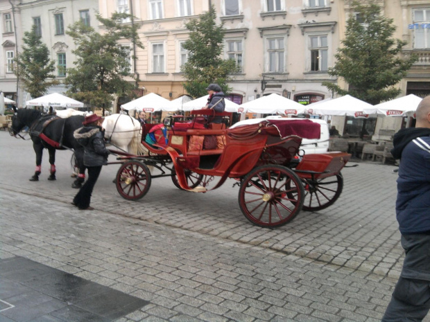 Bryczka Kraków #kraków #dorożka #dorożki #BryczkiKonne #bryka #koń #konie