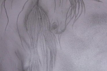 #koń #jednorożec #fantasy #rysunek #szkic #smutek