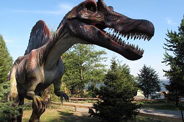 Rodzinny Park Atrakcji #alpaka #Atrakcji #dinozaur #Park #Rodzinny #Rybnik
