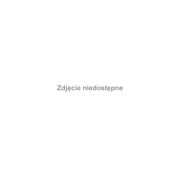 W głębi widać charakterystyczne dwa zakręty Wisły podobne do litery "S". #Sandomierz #Polska #Brama #Opatowska #BramaOpatowska #wjazd #gotyk