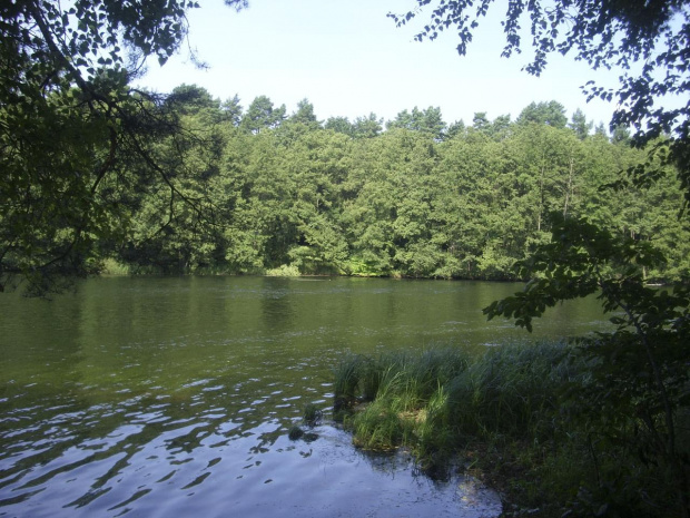 Nad Brdą, głęboko w lasach