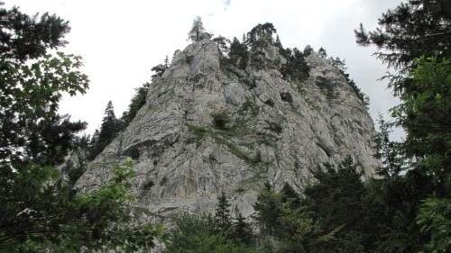 Formy skalne, turniczki w otoczeniu Polany Polhory #GóryChoczańskie #DolinaProsiecka #DolinaKwaczańska