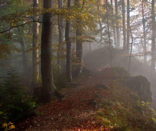 Pieniny we mgle