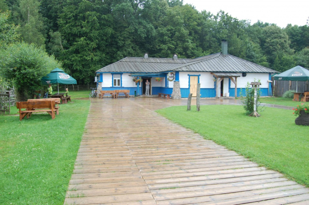 białowieża 2011