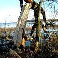 rózne foto #MAZURY