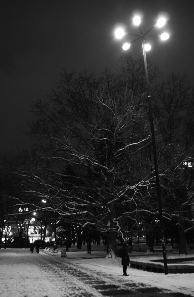 #zima #noc #światło #śnieg
