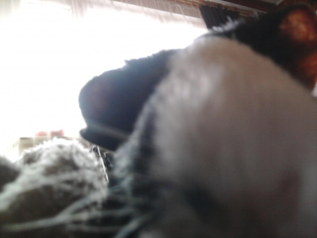 Cudny pyszczek ! : 3