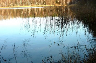 ODBICIA W WODZIE #ODBICIA