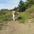 Szaleństwa Rika ;D
