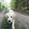 Szaleństwa Rika ;D
