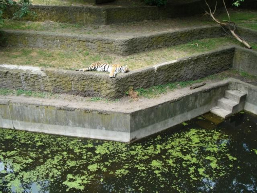 Nasze wszystkie dzieci i wnuki w łódzkim zoo