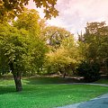Park obok olsztyńskiego zamku #park #olsztyn