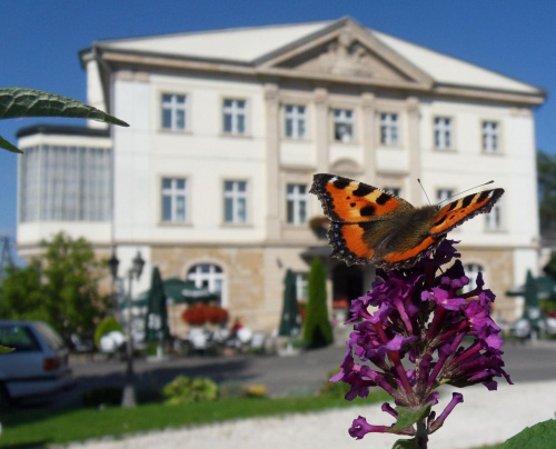 Pałac Brunów ma wielu gości :) #Brunów #LwówekŚl
