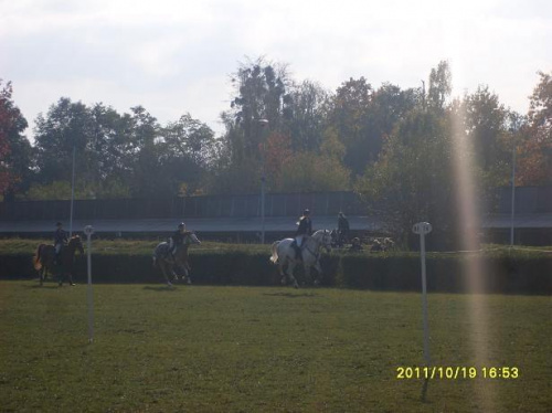 Cudak i Karola Zawody Hubertusowe Ostroga 2011