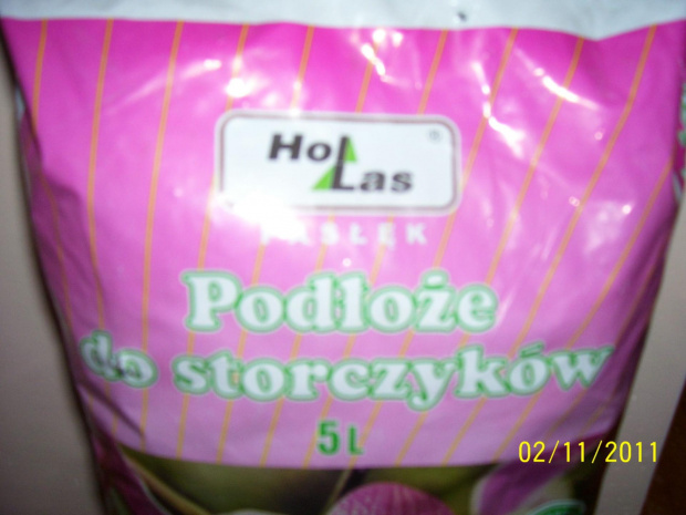 podłoze